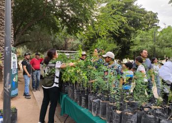 Logra Gobieno de Hermosillo récord en jornada de donación de plantas nativas