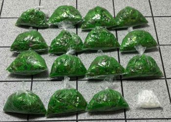 Policías especializados del Gobierno de Sonora logran resultados contra el narcomenudeo en Hermosillo