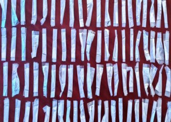 Asegura Gobierno de Sonora narcótico en operativo de la PESP en Hermosillo