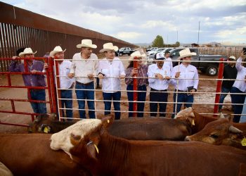 Gobernador Durazo reanuda exportación de ganado a Estados Unidos; Sonora es el primer estado en México
