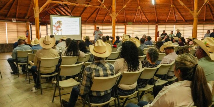 Gobierno de Sonora fortalece acciones de prevención contra el gusano barrenador en la entidad
