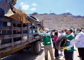 Arranca Gobierno de Sonora 2da. Jornada Nacional de Lucha contra el Dengue 2025