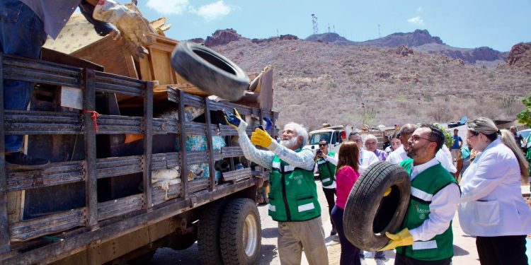 Arranca Gobierno de Sonora 2da. Jornada Nacional de Lucha contra el Dengue 2025