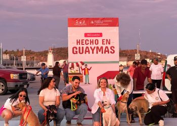 Realizan Mercadito Hecho en Guaymas y pasarela de adopción canina