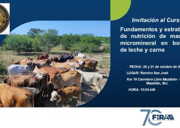 Sinaloa accede a programas federales de impulso ganadero gracias a la gestión del Gobierno del Estado