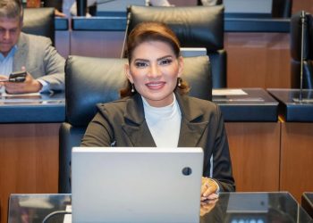 “En el Senado vamos por una reforma electoral que garantice una democracia menos costosa”: Lorenia Valles