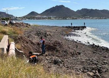 Gobierno de Sonora verifica calidad sanitaria en playas de San Carlos conforme a norma federal