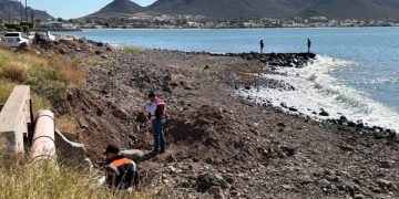 Gobierno de Sonora verifica calidad sanitaria en playas de San Carlos conforme a norma federal