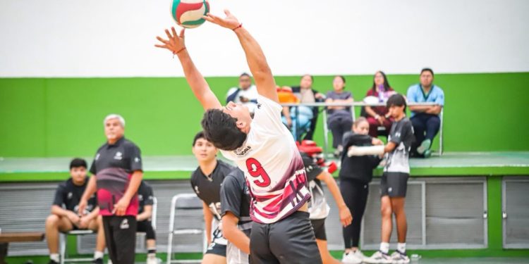 Tiene volibol de sala de Sonora un poderoso inicio en Olimpiada Nacional