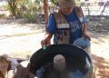 Refuerza Salud Sonora combate al dengue con fumigación de más de 65 mil hectáreas