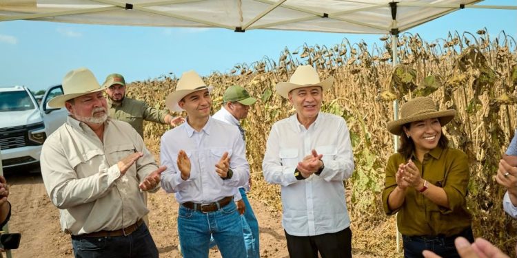 Sonora lidera el crecimiento del campo en el norte del país: Durazo