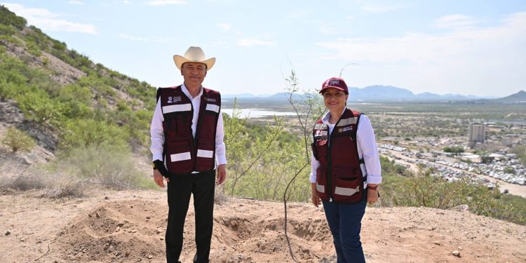 Con más de 13 mil árboles, Gobernador Durazo suma a Sonora a Jornada Nacional de Reforestación de Presidenta Sheinbaum