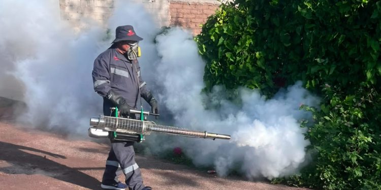 Refuerza Salud Sonora acciones contra el dengue con fumigación de 87 mil hectáreas
