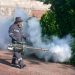 Refuerza Salud Sonora acciones contra el dengue con fumigación de 87 mil hectáreas