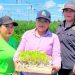 Alumnado de la UTEtchojoa desarrolla proyecto de cosecha de flor tradicional de Día de Muertos